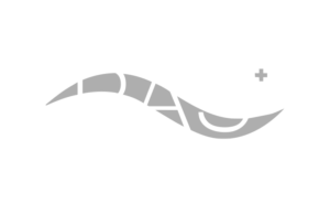 praktijk aan de stroom PAS logo