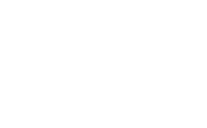 RIZIV wit logo transparant