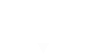 Vigel vlaams instituut gezond leven logo