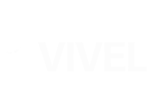 vivel netwerk organisatie vernieuwing innovatie zorg ondersteuning
