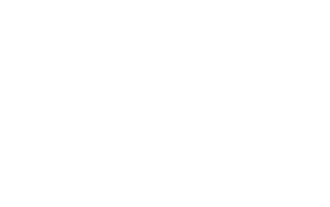 Koning Boudewijn stichting logo wit transparant