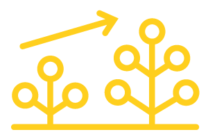 zorgbeleid-innovatie-g-300-200-transp